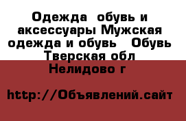 Одежда, обувь и аксессуары Мужская одежда и обувь - Обувь. Тверская обл.,Нелидово г.